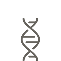 Our DNA Icon